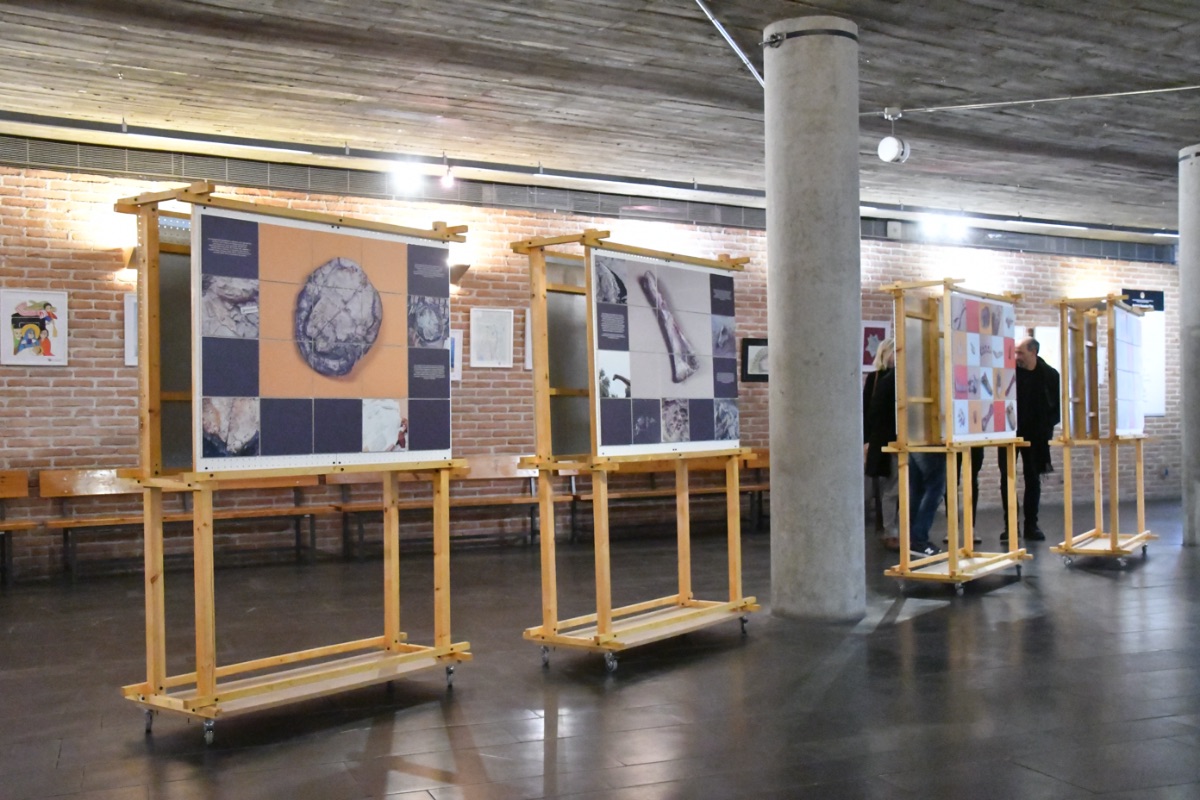 Paneles   de la exposición del yacimiento paleontológico de "Lo Hueco" en el   vestíbulo del Centro Escuelas Pías de Madrid (2018)